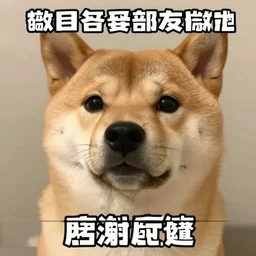 doge meme,