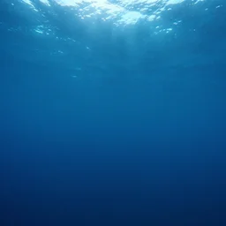 the bottom of the ocean