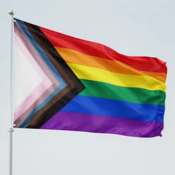 pansexual flag