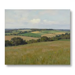 a landscape by pat martin