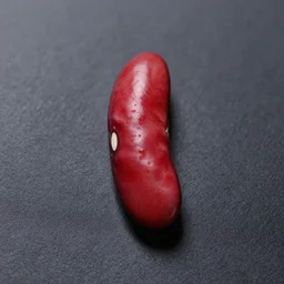 a single red bean