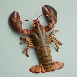 1950s lobster . muted colors.))))) by Jean-Baptiste Monge
