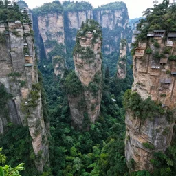 zhangjiajie overgrown covered in houses