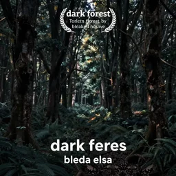 dark forest by bleda elsa