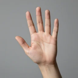 perfect human hand