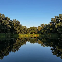 the pond, blue sky, summer evening, kenton nelson