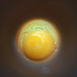 A view from inside of an egg