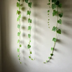 the vines that keep you tethered to your room by wlop