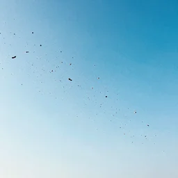 millions of people falling from an ethereal blue sky