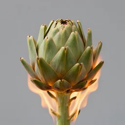 A tall artichoke in flower engulfed in flames