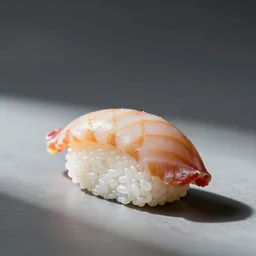 cat is sushi