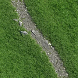 grass with path rock texture, seamless,4k resolution, photography, Substance material