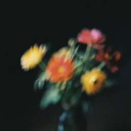 vintage grainy photograph, light leaks, blurry colorful flowers in motion, artistic, mysterious