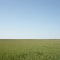 flat expanse of grass, clear skies, prairie, no trees, Hudson River School