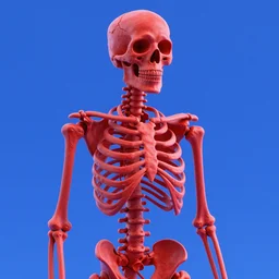 a red skeleton in the style of 3d render in vaporwave in a blue background, 8k UHD, unreal engine