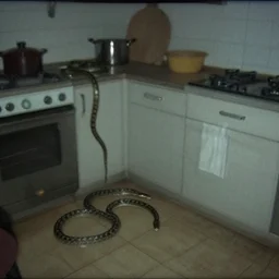 several big snakes in a stalinist style kitchen, by mini dv camera, very very low quality, heavy grain, very blurry, accidental flash, webcam footage, found footage, security cam, caught on trail cam
