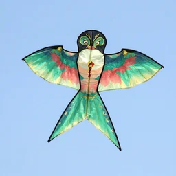 “kite dragon”