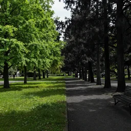 a picture of a park that on one side looks vivid and nice, but on the other side dark, dead and gloomy dystopian colored