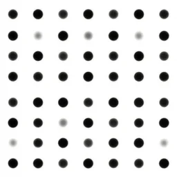 white dot black dot