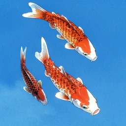 carp falling from the sky, yoshitaka amano