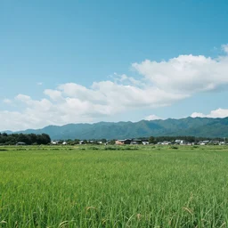 landscape by kazuo oga
