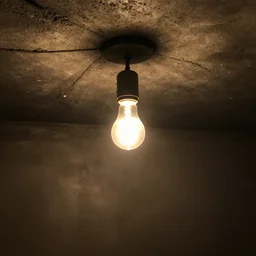 single lightbulb hanging from tundra basement