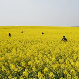 wide-angle photo of multiple dark figures popping up out of big rapeseed field, Nikon 10mm, high quality, very detailed,