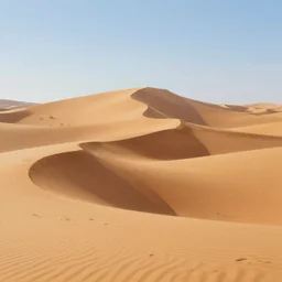 digital painting of a beautiful desert with dunes