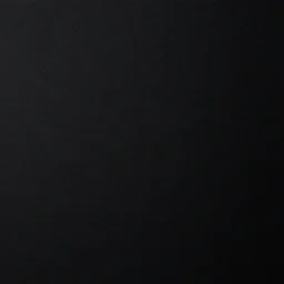 texture 2 d black