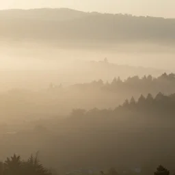 and furnished by the late afternoon light, mist curdling like a blurry feast, the haze descends upon this idyllic village, and it is time to rest. the most pleasing, soothing sound can be heard from secret corners of this cozy place. we are safe inside these walls. we are at peace.