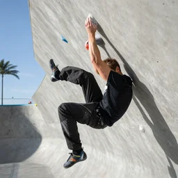 tony hawk pro rock climber