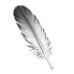 feather depthmap, black and white