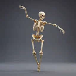 human skeleton dancing