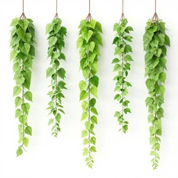 hanging vines asset pack