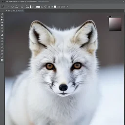 beautiful arctic fox close-up, XF IQ4, 150MP, 50mm, f/1.4, ISO 200, 1/160s, natural light, Adobe Photoshop, Adobe Lightroom, DxO Photolab, Corel PaintShop Pro, symmetrical balance, depth layering, polarizing filter, Sense of Depth, AI enhanced