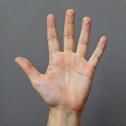 study of a sign language, right little palm with 5!! five!!! straight fingers, detailed, precise, accurate, oil painting, matte painting, award - winning, smooth, realistic, hyperrealism,