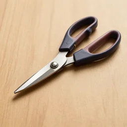 a kitchen shears