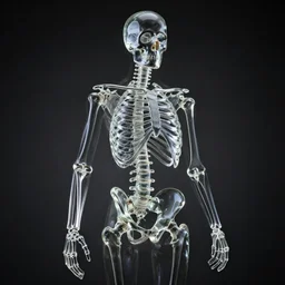 human skeleton made of glass, dramatic lighting