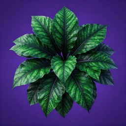 highly detailed over dimensional green leaves that are not from this world with black vaines, dark fantasy, photorealism, unreal engine, purple hue