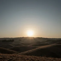 the grey of the morning has passed, and the sun is high over the distant horizon, which seems jagged, whether with trees or hills i know not, for it is so far off that big things and little are mixed