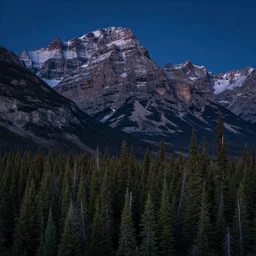 a highly detailed photo of alberta wilderness at night, 4 k high - resolution photograph, ultra detail, hd photo