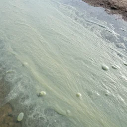 birds eye view of chuncheon covered in slime