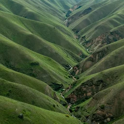 a beautiful, detailed, rolling green hills inside a canyon carbed by glaciers, high definition, wide angle professional journalist, award winning image