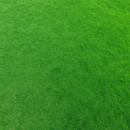 green organic texture