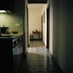 a photograph of a dark kitchen and a coridor with portugese tile on the floor, shot on film, 3 5 mm, cinematic