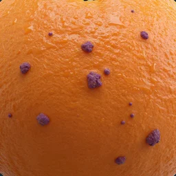 3 d render of wet orange skin with purple warts and curly hairs texture map | seamless | unreal engine | octane | red shift