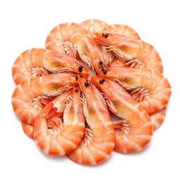 cooked shrimp army