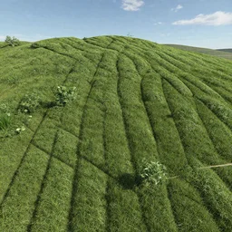 Landscape, with 3dsmax