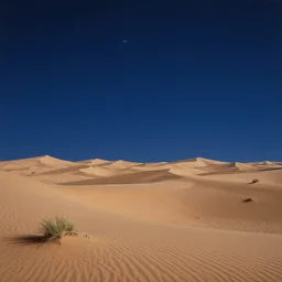 desert with sky with stars by henri matisse, cinematic, highly detailed wide, atmospheric lighting