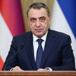bidzina ivanishvili